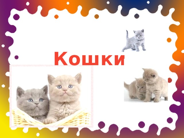 Кошки  