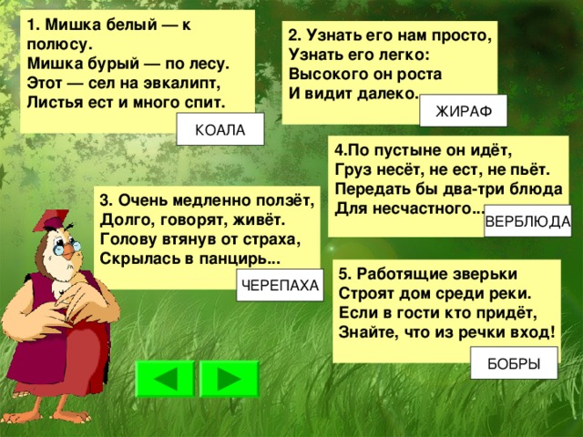 1. Мишка белый — к полюсу.  Мишка бурый — по лесу.  Этот — сел на эвкалипт,  Листья ест и много спит.  2. Узнать его нам просто,  Узнать его легко:  Высокого он роста  И видит далеко.  4.По пустыне он идёт,  Груз несёт, не ест, не пьёт.  Передать бы два-три блюда  Для несчастного... 3. Очень медленно ползёт,  Долго, говорят, живёт.  Голову втянув от страха,  Скрылась в панцирь...  5. Работящие зверьки  Строят дом среди реки.  Если в гости кто придёт,  Знайте, что из речки вход!  