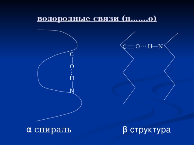 водородные связи (н…….о) … O H N C С O … H N α  спираль β структура 