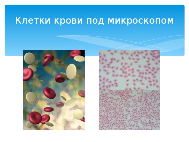 Химия и медицина презентация