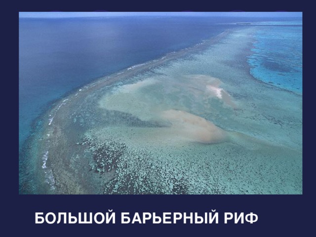 Большой Барьерный риф - одно из самых больших чудес на свете. Протяженностью 1000 км, он включает в себя до 700 тропических островов и коралловых обнажений. БОЛЬШОЙ БАРЬЕРНЫЙ РИФ 