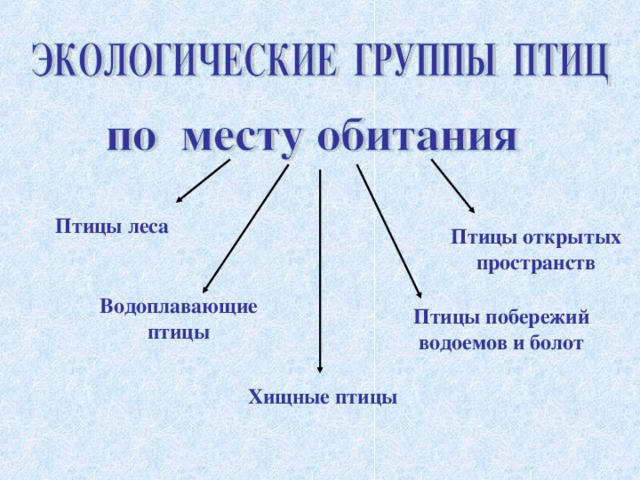 Экологические группы птиц таблица 7 класс