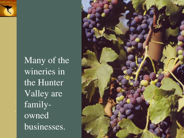 Many of the wineries in the Hunter Valley are family-owned businesses. 