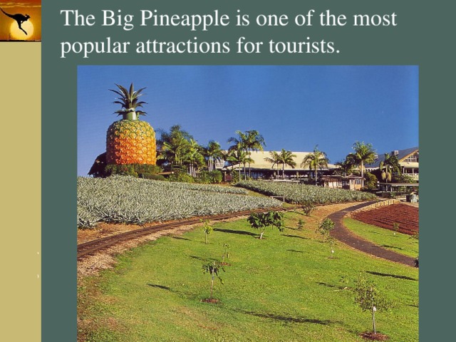 The Big Pineapple is one of the most popular attractions for tourists. 