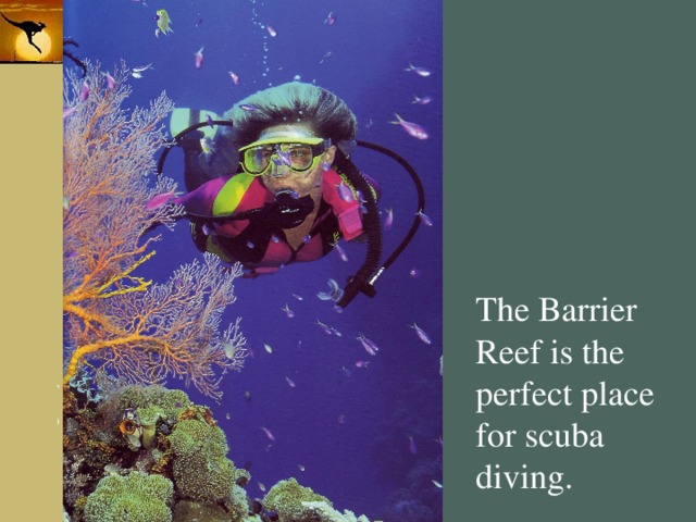 The Barrier Reef is the perfect place for scuba diving. 