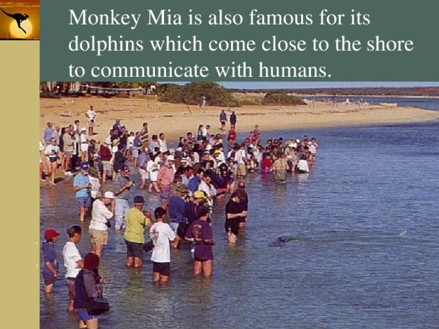 Monkey Mia is also famous for its dolphins which come close to the shore to communicate with humans. 
