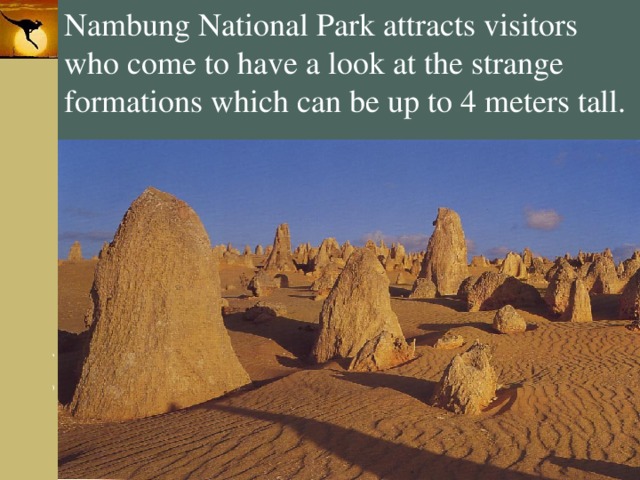 Nambung National Park attracts visitors who come to have a look at the strange formations which can be up to 4 meters tall. 