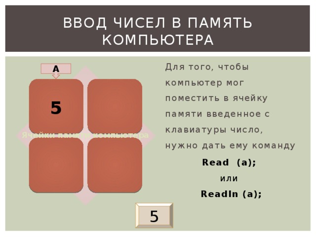 Ввод чисел в память компьютера Для того, чтобы компьютер мог поместить в ячейку памяти введенное с клавиатуры число, нужно дать ему команду Read (a);  или   Readln (a); A 5 Ячейки памяти компьютера В ходе показа этого слайда знакомимся с командой ввода и принципом ее работы. Здесь же я обращаю внимание на два способа записи команды ввода (read и readln) и предлагаю учащимся при наборе программы самостоятельно разобраться с различиями в выполнении обоих вариантов команды. 5 3 