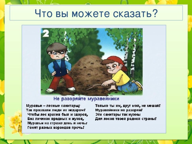 Что вы можете сказать? 