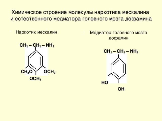 Химическое строение молекулы наркотика мескалина  и естественного медиатора головного мозга дофамина Наркотик мескалин  СН 2 – СН 2 – N Н 2  СН 3 О  ОСН 3  ОСН 3 Медиатор головного мозга дофамин  СН 2 – СН 2 – N Н 2       НО  ОН 