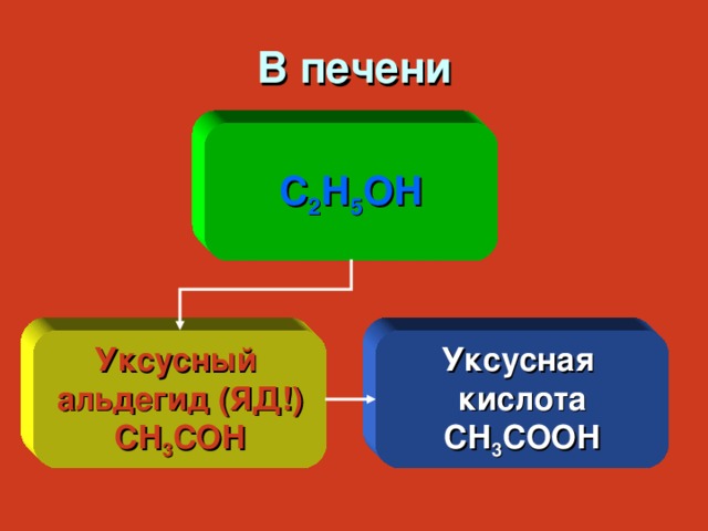 В печени С 2 Н 5 ОН Уксусный альдегид (ЯД!) СН 3 СОН Уксусная кислота СН 3 СООН 