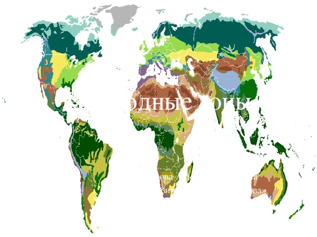 Природные зоны земли картинки