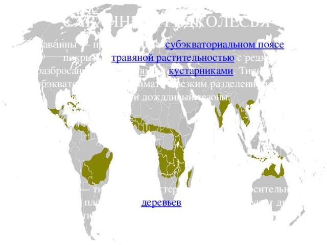 САВАННЫ И РЕДКОЛЕСЬЯ Сава́нны — пространства в субэкваториальном поясе , покрытые травяной растительностью с редко разбросанными деревьями и кустарниками . Типичны для субэкваториального климата с резким разделением года на сухой и дождливый сезоны. Редколе́сье — тип леса , характеризующийся относительной невысокой плотностью деревьев , отстоящих друг от друга на заметном удалении и не образующих сомкнутого лесного полога 