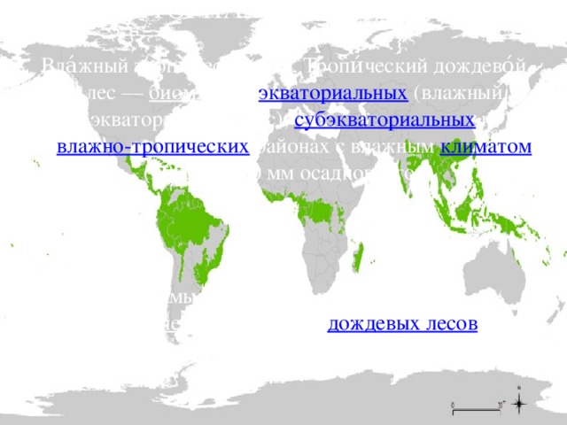 Влажные экваториальные леса карта мира