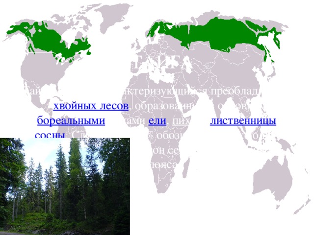 Бореальные леса северной америки карта