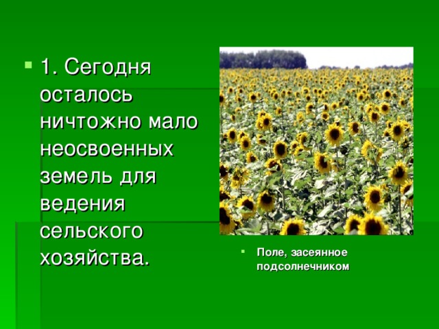 1. Сегодня осталось ничтожно мало неосвоенных земель для ведения сельского хозяйства. Поле, засеянное подсолнечником 