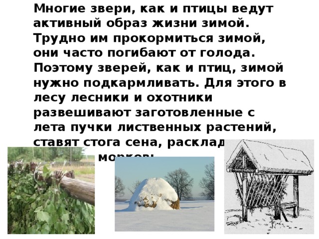 Как помочь животным зимой 2 класс. Как трудно животным зимой. Как спасти животных зимой. Как ведут себя звери зимой. Как помочь животным зимой.