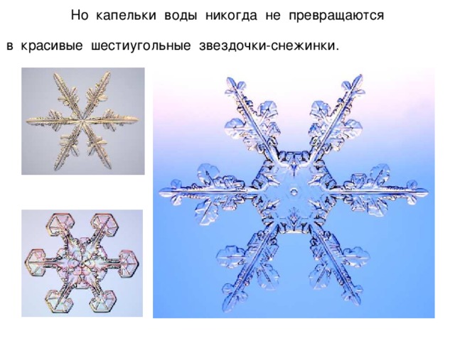 Но капельки воды никогда не превращаются  в красивые шестиугольные звездочки-снежинки.   