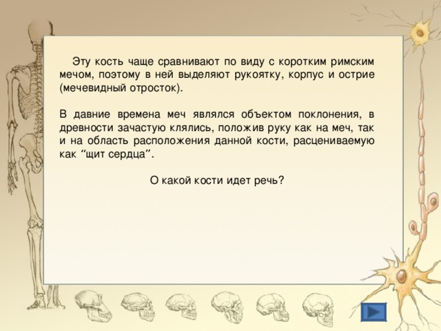  Эту кость чаще сравнивают по виду с коротким римским мечом, поэтому в ней выделяют рукоятку, корпус и острие (мечевидный отросток). В давние времена меч являлся объектом поклонения, в древности зачастую клялись, положив руку как на меч, так и на область расположения данной кости, расцениваемую как “ щит сердца ” . О какой кости идет речь? 