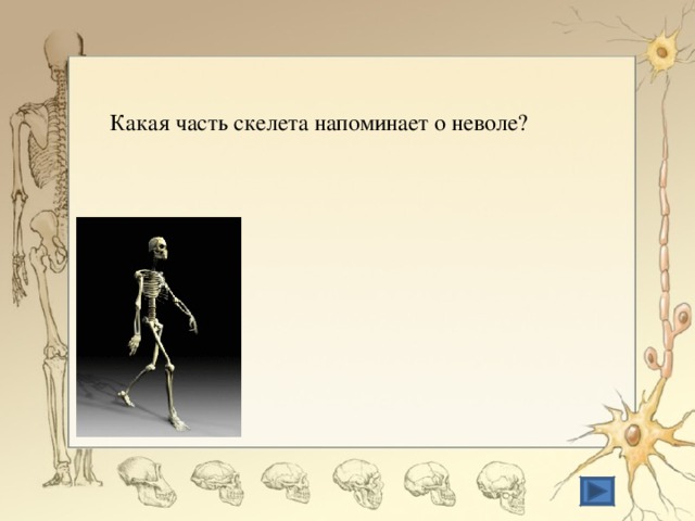 Значение скелета человека. Какая часть скелета напоминает о неволе. Значение скелета. Какое значение имеет скелет. Каково значение скелета для человека.
