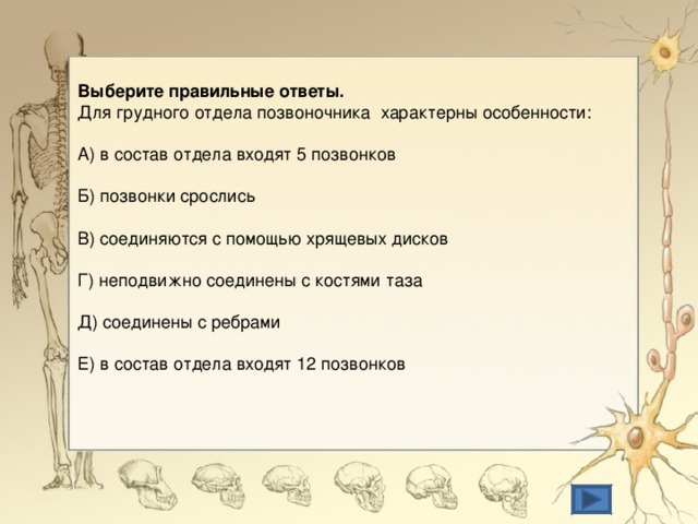 Выберите правильные ответы. Для грудного отдела позвоночника характерны особенности: А) в состав отдела входят 5 позвонков Б) позвонки срослись В) соединяются с помощью хрящевых дисков Г) неподвижно соединены с костями таза Д) соединены с ребрами Е) в состав отдела входят 12 позвонков 