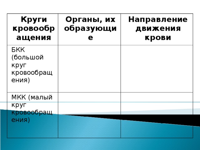 Презентация по биологии "Круги кровообращения"