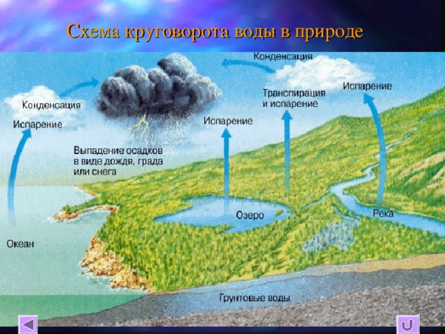 Схема круговорота водорода