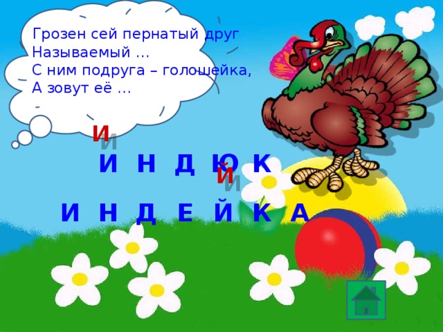   Грозен сей пернатый друг  Называемый …   С ним подруга – голошейка,  А зовут её … И К Н И Д Ю Й Д Н Е К Й А И 