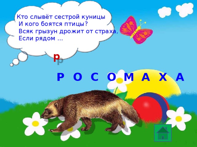 Кто слывёт сестрой куницы  И кого боятся птицы?  Всяк грызун дрожит от страха,  Если рядом … р Р О С Х О А М А 