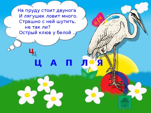 На пруду стоит двунога  И лягушек ловит много.  Страшно с ней шутить,  не так ли?  Острый клюв у белой … ц Ц Л А П Я 