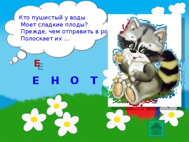 Кто пушистый у воды  Моет сладкие плоды?  Прежде, чем отправить в рот,  Полоскает их … Е Е Т Н О 