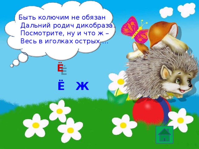 Быть колючим не обязан  Дальний родич дикобраза.  Посмотрите, ну и что ж –  Весь в иголках острых … Ё Ё Ж 