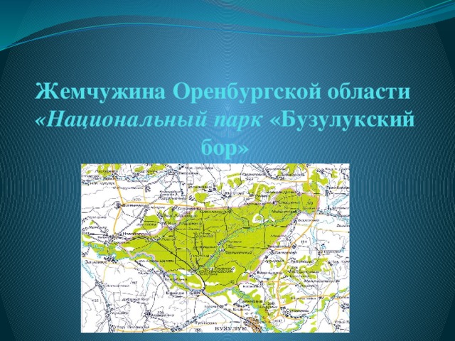 Проект заповедники оренбургской области