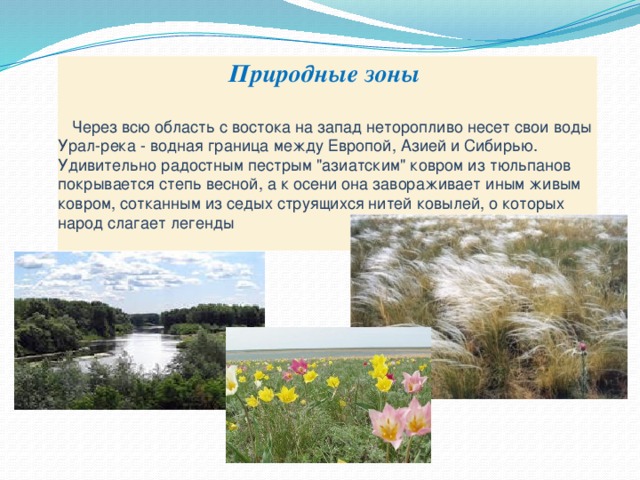 Природные зоны Урала. Природные зоны Зауралья. Река Урал природная зона. Природные зоны зоны Урала.