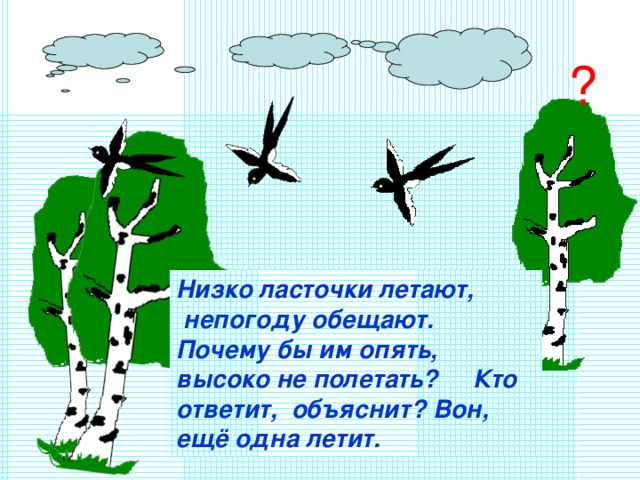 ? Низко ласточки летают, непогоду обещают. Почему бы им опять, высоко не полетать? Кто ответит, объяснит? Вон, ещё одна летит. 