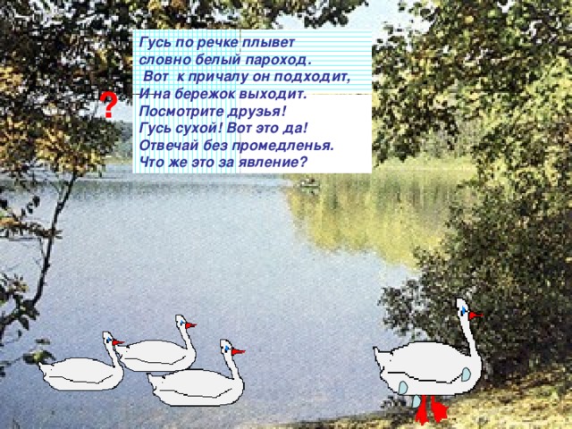 Гусь по речке плывет словно белый пароход. Вот к причалу он подходит, И на бережок выходит. Посмотрите друзья! Гусь сухой! Вот это да! Отвечай без промедленья. Что же это за явление ?  ? 