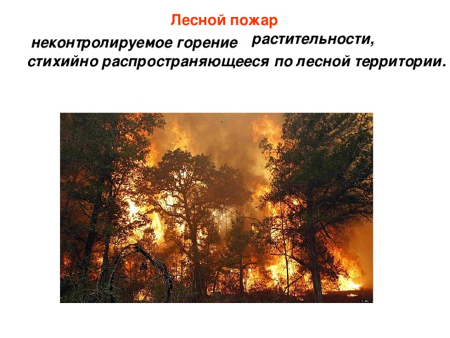 Лесной пожар растительности,  неконтролируемое горение стихийно распространяющееся по лесной территории. 