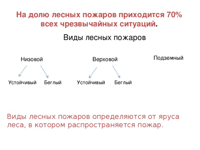 На долю лесных пожаров приходится 70% всех чрезвычайных ситуаций . Виды лесных пожаров Подземный  Низовой Верховой Устойчивый Беглый Устойчивый Беглый Виды лесных пожаров определяются от яруса леса, в котором распространяется пожар. 