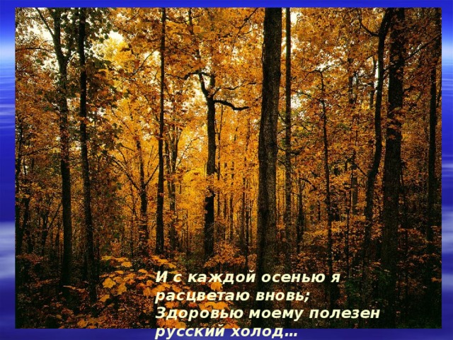 И с каждой осенью я расцветаю вновь; Здоровью моему полезен русский холод… 