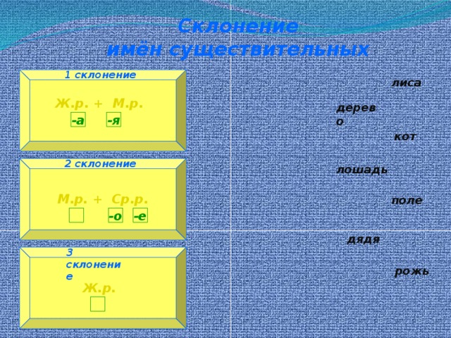 Лошадь склонение