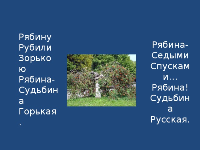 Анализ стихотворения рябину рубили зорькою цветаева. Всяк дом мне чужд всяк храм мне пуст средство выразительности. Стихотворение цветаевой рябину рубили. Рябину рубили зорькою цветаева. Анализ стихотворения цветаевой рябину рубили».