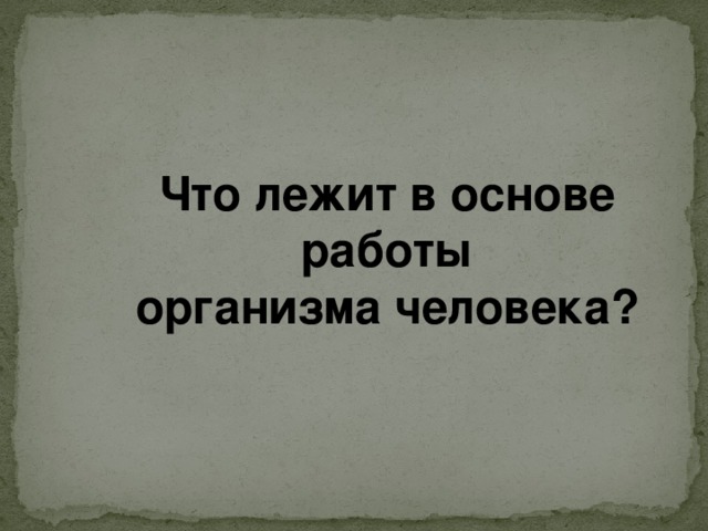 План что лежит в основе роста организмов