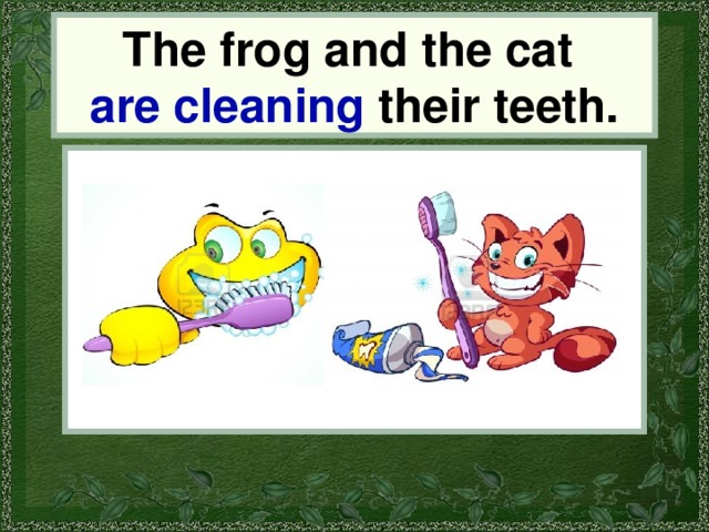 The frog and the cat are cleaning their teeth. the frog and the cat 