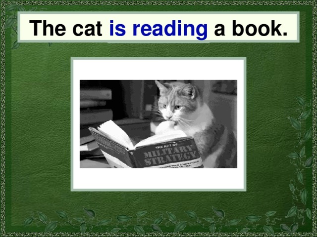 The cat is reading a book. the cat 