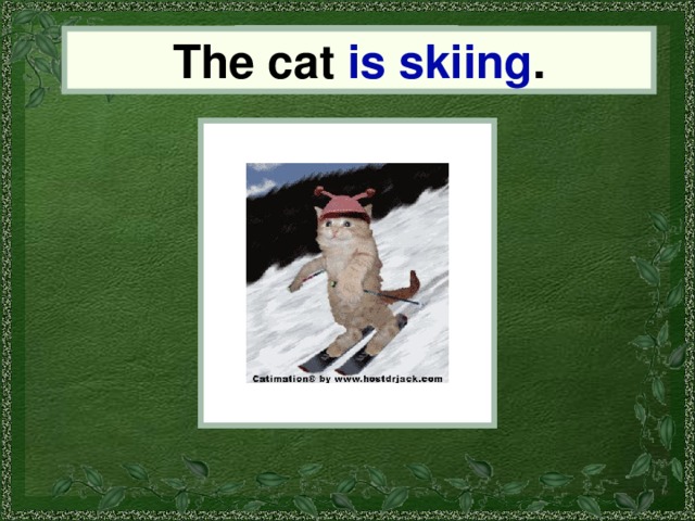 the cat The cat is skiing . 