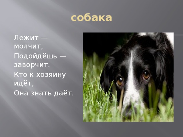 собака Лежит — молчит, Подойдёшь — заворчит. Кто к хозяину идёт, Она знать даёт. 