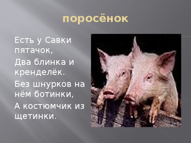 поросёнок Есть у Савки пятачок, Два блинка и кренделёк. Без шнурков на нём ботинки, А костюмчик из щетинки. 