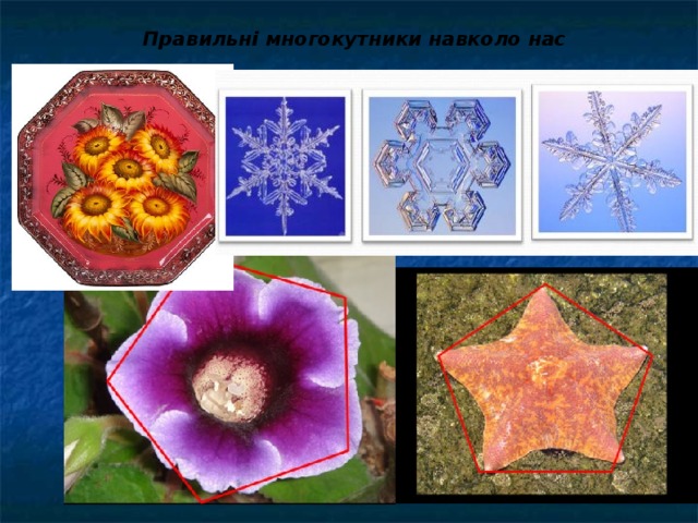 Правильні многокутники навколо нас 