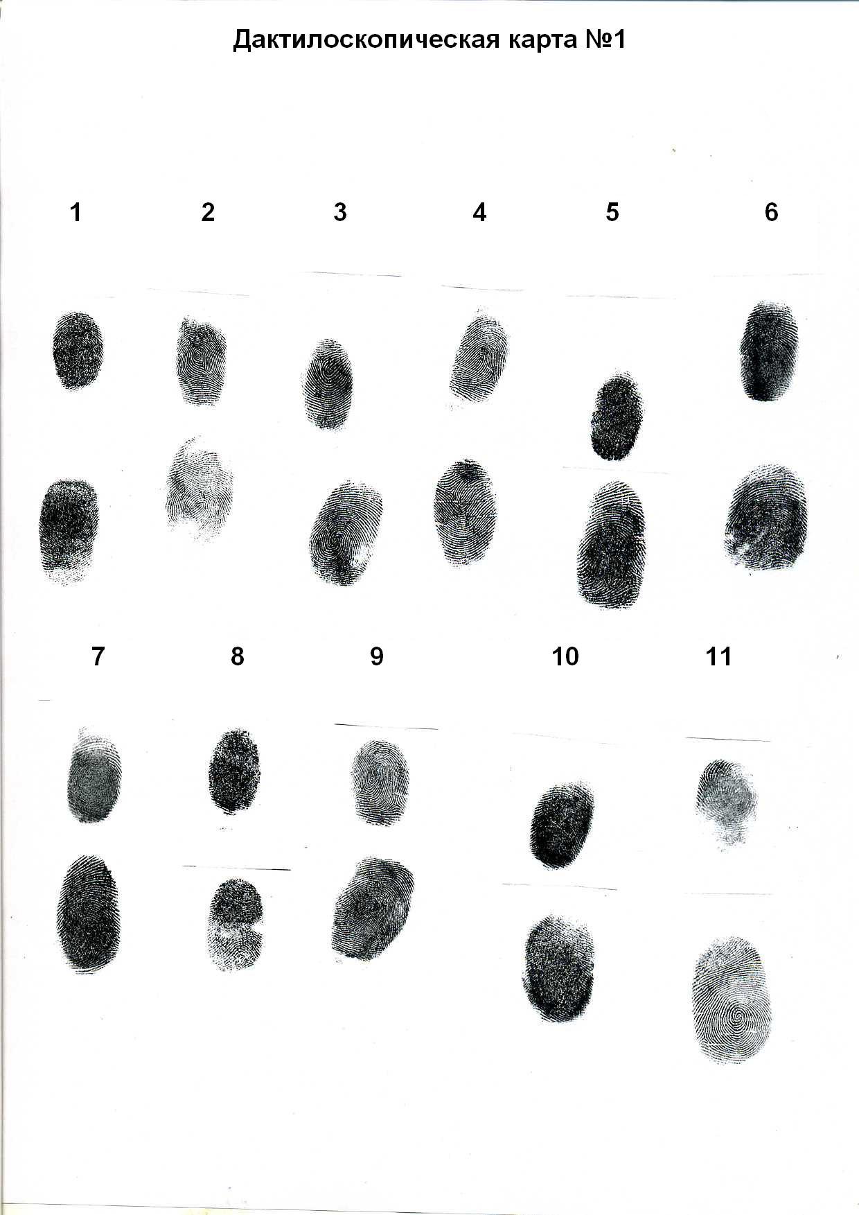 Дактокарта образец с отпечатками