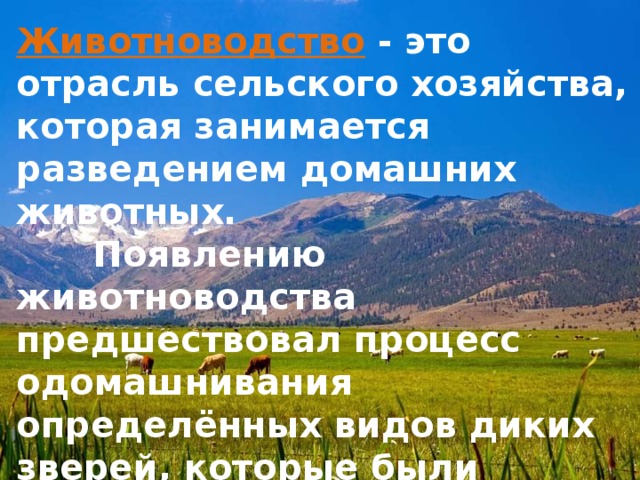 Хозяйство приумножающее поголовье 8 букв